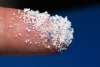 Neurotoxic PET Nanoplastics Threaten Ecosystem and Human Health