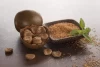 Monk Fruit: The Sweet Solution to Diabetes and Obesity