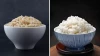 The Fiber Champion: How Brown Rice Boosts Digestive Health and Beyond