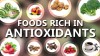 Powerhouse Foods: Unveiling the Top 12 Antioxidant-Rich Champions